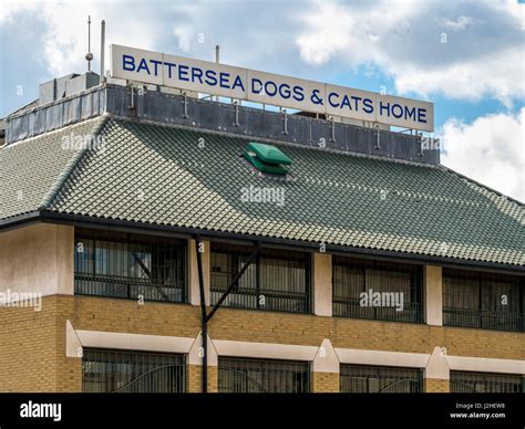 battersea cats home lottery|Battersea Dogs & Cats Home .